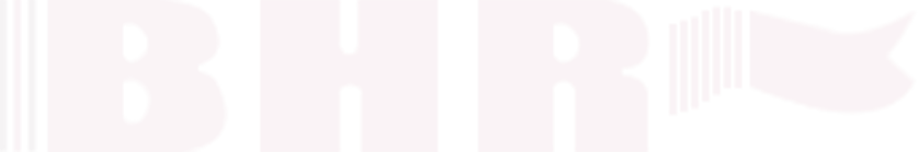 Jiangyin City Baihong Weaving Band Co. ، Ltd